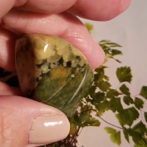 Green Rainforest Jasper gemstone